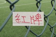 华体会官网注册-中超四大豪门 红牌最多最多球队|上海海港|上海申花|曹永竞|北京国安|上海申花足球俱乐部_新浪体育_新浪新闻